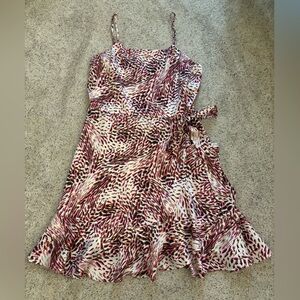 Express Multicolor Dress